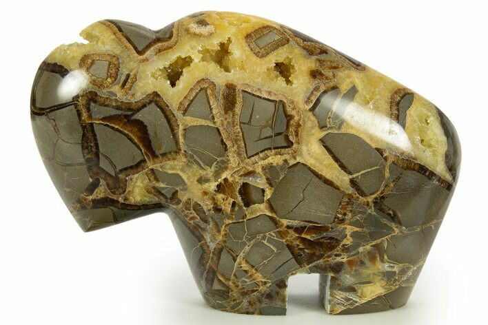 Calcite-Filled Polished Septarian Bison - Utah #344825